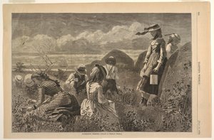 Sběr bobulí od Winslow Homer