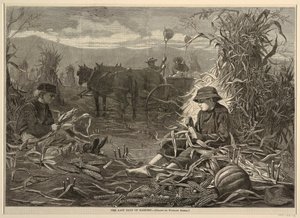 The Last Days of Harvest, z Harper