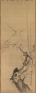 Vrabci na kvetoucí švestce od attributed to Kano Tan’yū