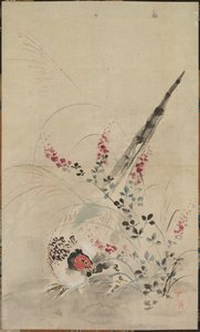 Bažant a trávy od attributed to Ogata Kōrin