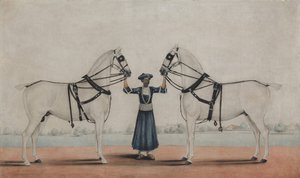 Syce Groom držící dva kočárové koně, ca. 1845. od attributed to Shaikh Muhammad Amir of