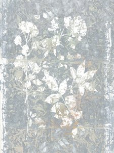 Abstraktní šedé rostlinné motivy od cartissi
