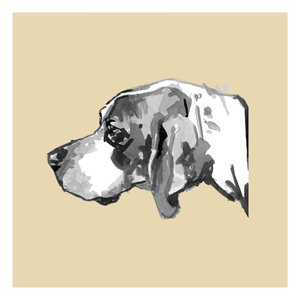 Elegantní profil psa od cartissi