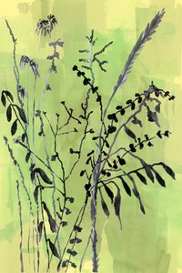 Zelené botanické siluety od cartissi