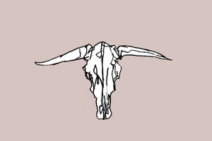 Minimalistická lebka Longhorn od cartissi