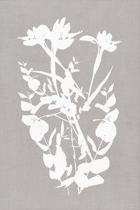 Moderní botanické siluety od cartissi