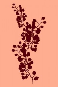Botanická silueta broskve od cartissi