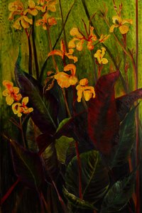 Canna Lily, 2017 (olej na plátně)