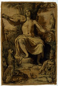 Orfeus okouzlující zvířata hudbou houslí. Kresba Federica Zuccariho (1542 - 1609). od or Zuccaro Federico Zuccari