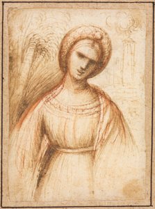 Dáma v krajině (recto) od possibly by Dosso Dossi
