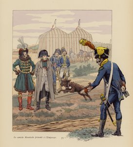Pes Knírač darovaný Napoleonovi (barevná litografie) od pseudonym for Onfray de Breville Jacques Job