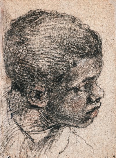 Hlava černošského chlapce, Paolo Caliari známý jako Veronese (1528-1588), kresba od Veronese