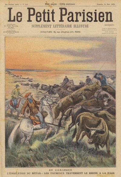 Migrace hospodářských zvířat v Camargue: stádo býků plave přes řeku Rhone (barva litho) od (after) Carrey
