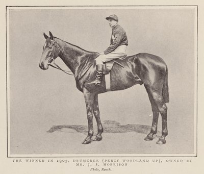 Drumcree, vítěz dostihu Grand National z roku 1903 (čb fotografie) od (after) English photographer