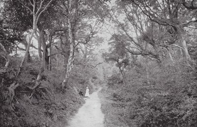 Fairlight Glen (č/b fotografie) od (after) English photographer