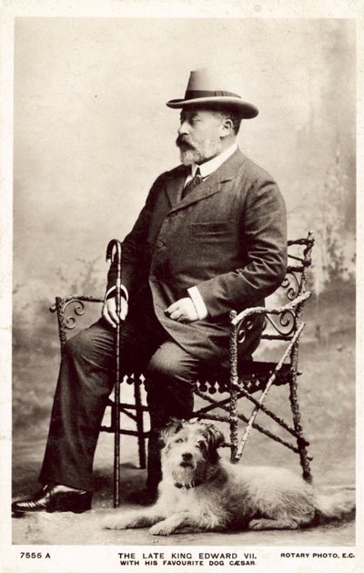 Zesnulý král Edward VII., s tímto oblíbeným psem Caesarem (č/b foto) od (after) English photographer