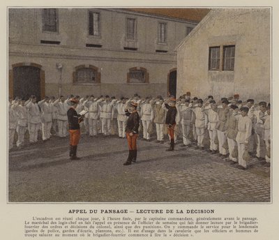 Call of the Pansage, čtení rozhodnutí (barevné foto) od (after) French Photographer