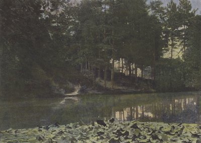 Bois de Boulogne, přehrada (barevné foto) od (after) French Photographer