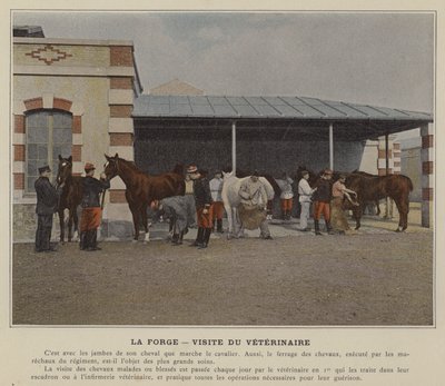 La Forge, Návštěva veterináře (barevné foto) od (after) French Photographer