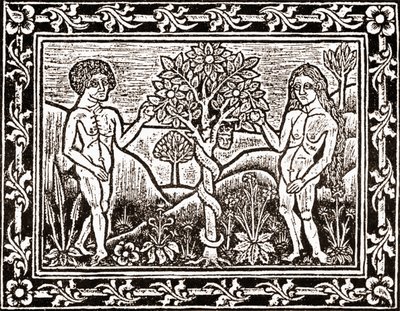 Strom, ze kterého Adam snědl jablko, faksimilie z knihy meditace, první kniha vytištěná v Albi, Languedoc, v roce 1481 od (after) French School