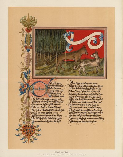 Pes a vlk (barevná litografie) od (after) German School