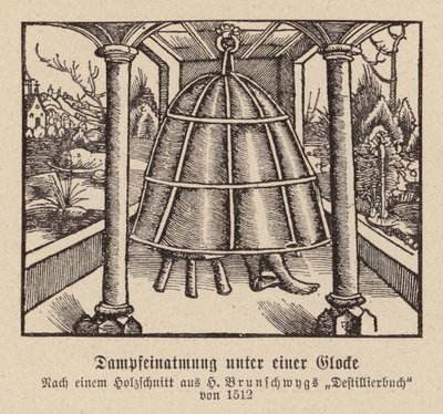 Inhalace páry pod zvonem (dřevoryt) od (after) German School