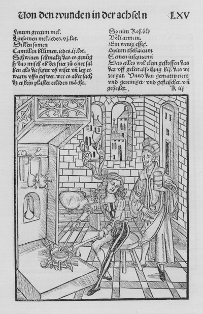 Kniha Cirurgia od Hieronyma Brunschwiga (litho) od (after) German School