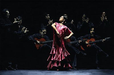 Hrdá tanečnice flamenca od Richard Young
