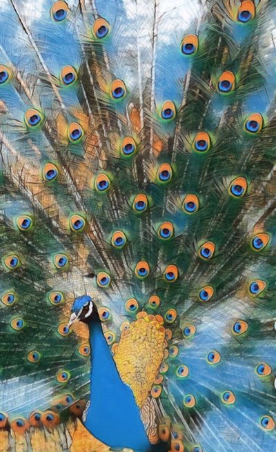 Pavo Real. od Margareta Uliarte