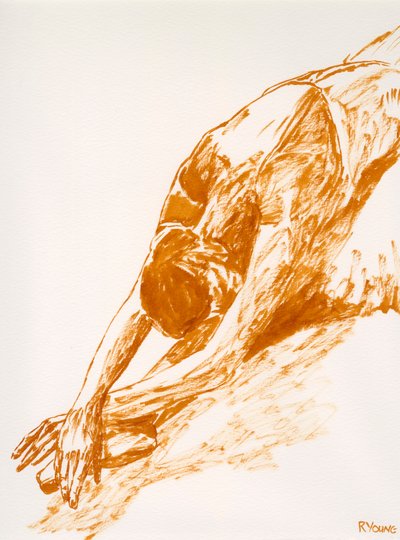 Umírající labuť - studie od Richard Young