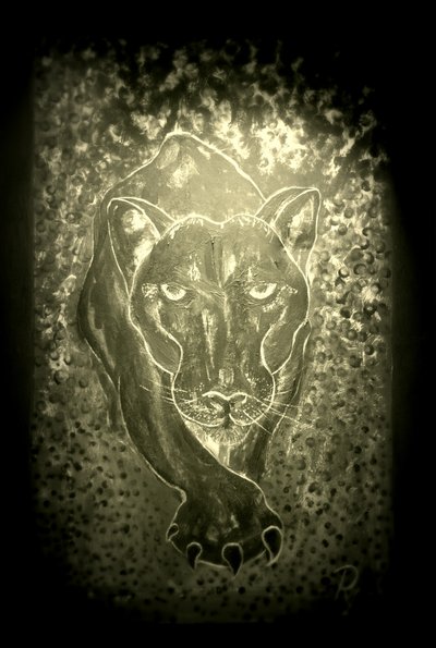 Panter - šedý od RosaLi