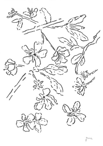  od june art