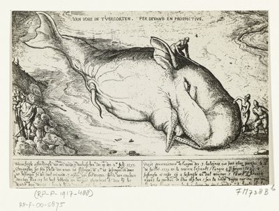 Tisk vyplavené velryby poblíž Antverp, 2. července 1577 od A.B. van Deinse