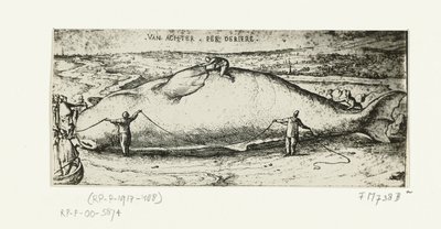 Tisk vyplavené velryby poblíž Antverp, 2. července 1577 od A.B. van Deinse