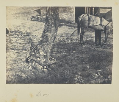 Lámání a ohýbání kolejnic kolem stromu od A.J. Russell