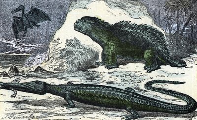 Prehistorie: zobrazení teleosaura (prodlužující se tlama) a hyleosaura z jurského období“ (Prehistorie, Jura: teleosaurus a hylaeosaurus) Rytina z „“Příroda a člověk““ od Rengade 1881 Soukromá sbírka od A. Demarle