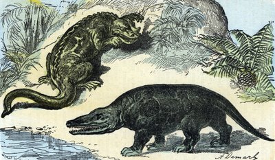 Esihistoria: iguanodonin ja megalosauruksen esitys liitukaudelta od A. Demarle