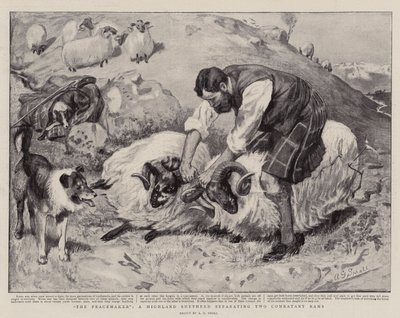 Peacemaker, Highland Shepherd oddělující dva Combatant Rams od A. G. Small