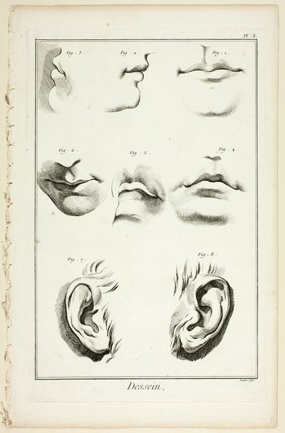 Design: Facial Anatomy z Encyclopédie od A. J. Defehrt