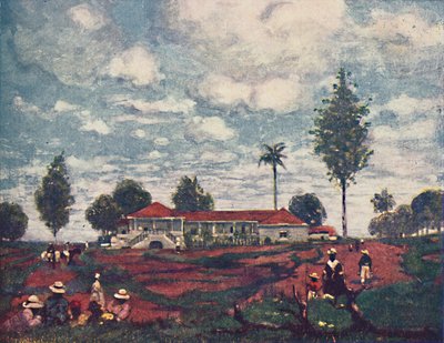 The Coffee Farm, 1916 od A. S. Forrest