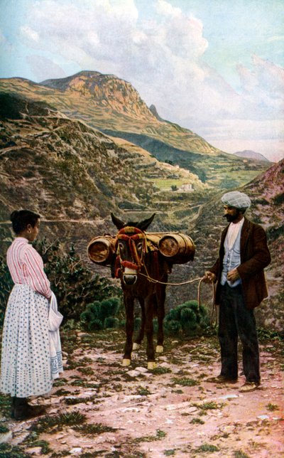 Mezek se sudy na vodu, Sicílie, Itálie, c1923 od A. W. Cutler