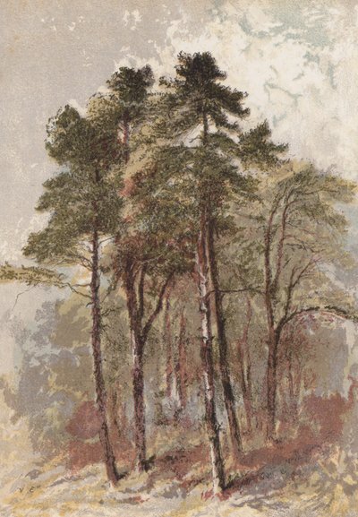 Skupina jedlí (chromolit) od Aaron Edwin Penley
