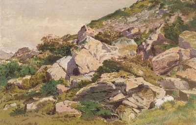 Studie kamenů na severní straně Taliaris, poblíž Llandilo, jižní Wales (chromolit) od Aaron Edwin Penley