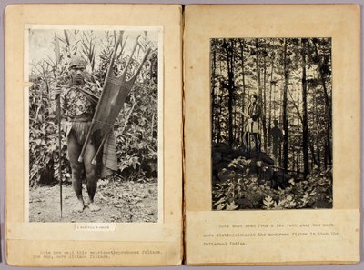 Kalingští válečníci a severoameričtí indiáni, studijní složka ke knize Skrývání zbarvení v živočišné říši od Abbott Handerson Thayer