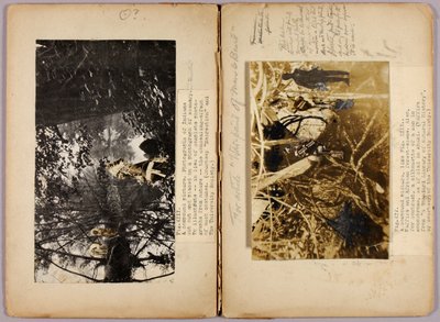 N. Američtí indiáni, studijní složka ke knize Skrývání zbarvení v živočišné říši od Abbott Handerson Thayer