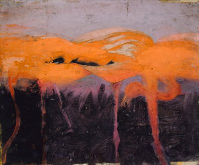 Plameňáci červení, studie ke knize Skrývání zbarvení v živočišné říši od Abbott Handerson Thayer
