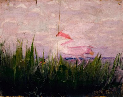 Lžičák pestrý, studie ke knize Skrývání zbarvení v živočišné říši od Abbott Handerson Thayer
