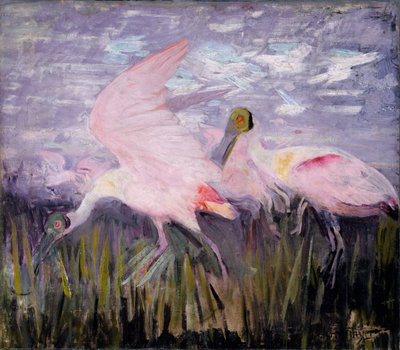 Roseate Spoonbills, studie pro knihu Concealing Coloration in the Animal Kingdom, ca. 1905-1909. od Abbott Handerson Thayer