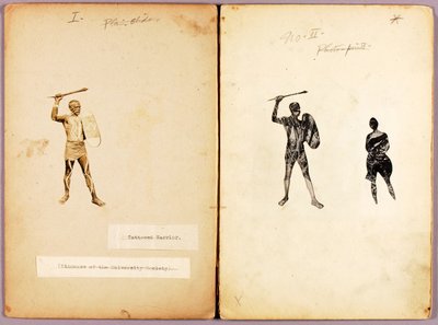 Tetování-Single Warrior, studijní složka ke knize Concealing Coloration in the Animal Kingdom (Skrývání zbarvení v živočišné říši) od Abbott Handerson Thayer