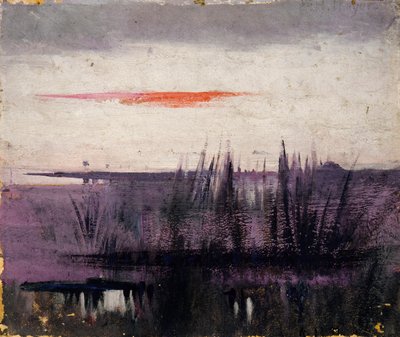 Studie The Sky Simulated by White Flamingoes ke knize Concealing Coloration in the Animal Kingdom (Skrývání zbarvení v živočišné říši) od Abbott Handerson Thayer